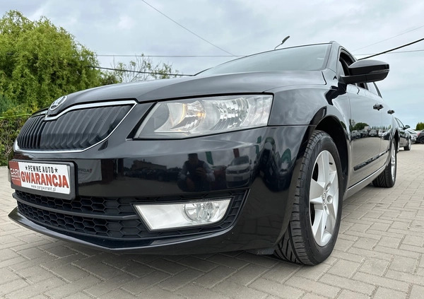 Skoda Octavia cena 36800 przebieg: 239000, rok produkcji 2014 z Grudziądz małe 667